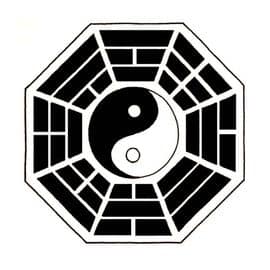 tai chi yin yang pa kua